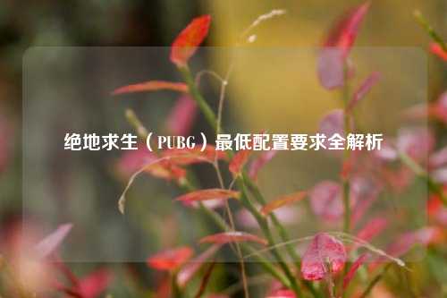 绝地求生（PUBG）最低配置要求全解析