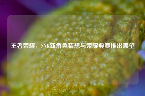 王者荣耀，SNK新角色猜想与荣耀典藏推出展望