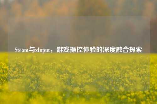 Steam与xInput，游戏操控体验的深度融合探索