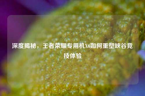 深度揭秘，王者荣耀专用机X6如何重塑峡谷竞技体验