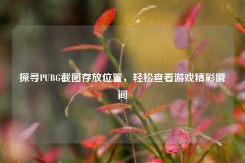探寻PUBG截图存放位置，轻松查看游戏精彩瞬间