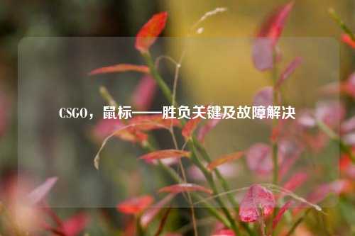 CSGO，鼠标——胜负关键及故障解决
