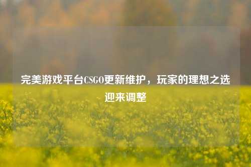 完美游戏平台CSGO更新维护，玩家的理想之选迎来调整