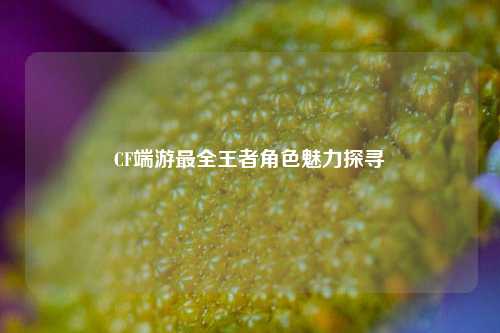 CF端游最全王者角色魅力探寻