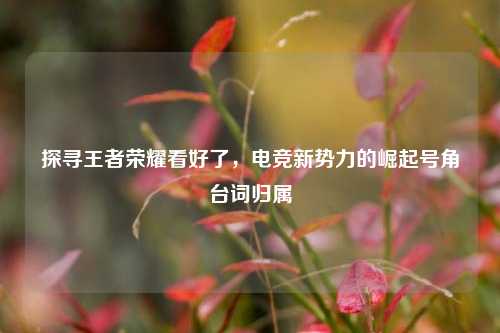 探寻王者荣耀看好了，电竞新势力的崛起号角台词归属