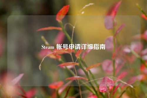 Steam 帐号申请详细指南