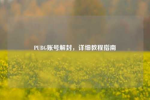 PUBG账号解封，详细教程指南