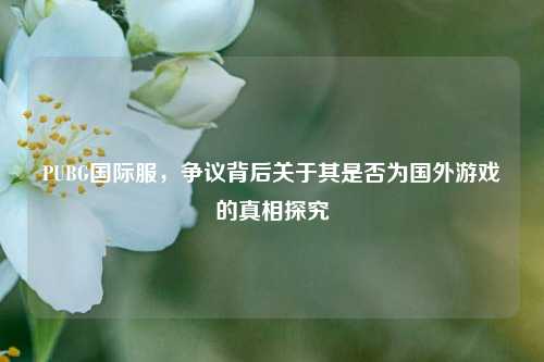PUBG国际服，争议背后关于其是否为国外游戏的真相探究