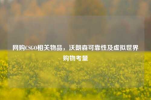 网购CSGO相关物品，沃朗森可靠性及虚拟世界购物考量