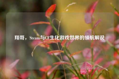 翔哥，Steam与CF生化游戏世界的领航解说