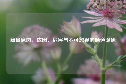 肠胃息肉，成因、危害与不可忽视的肠道隐患