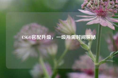 CSGO官配升级，一级所需时间探秘