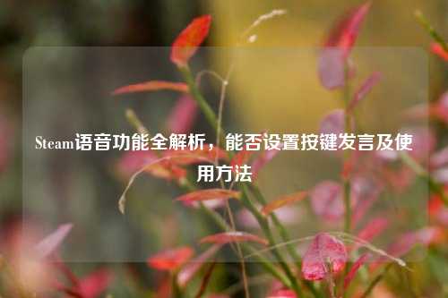 Steam语音功能全解析，能否设置按键发言及使用方法