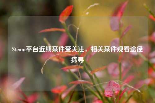 Steam平台近期案件受关注，相关案件观看途径探寻