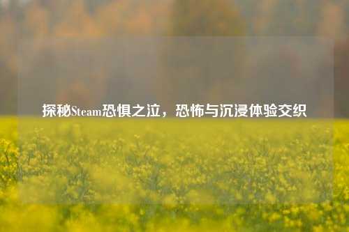 探秘Steam恐惧之泣，恐怖与沉浸体验交织