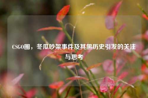 CSGO圈，冬瓜吵架事件及其黑历史引发的关注与思考