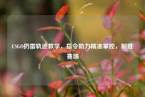 CSGO扔雷轨迹教学，指令助力精准掌控，制胜赛场
