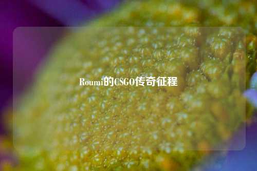 Roumi的CSGO传奇征程