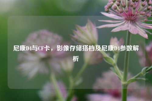 尼康D4与CF卡，影像存储搭档及尼康D4参数解析