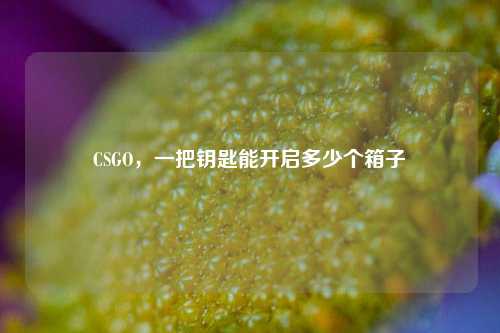 CSGO,一把钥匙能开启多少个箱子