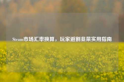 Steam市场汇率换算，玩家避割韭菜实用指南