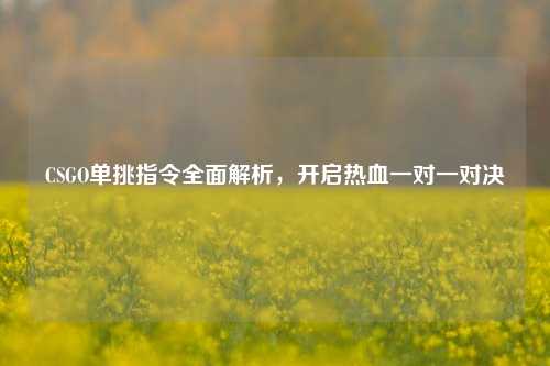 CSGO单挑指令全面解析，开启热血一对一对决