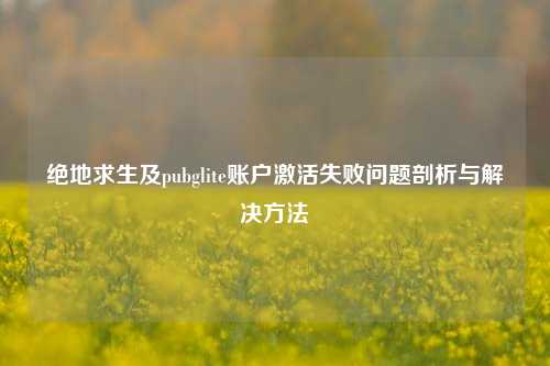 绝地求生及pubglite账户激活失败问题剖析与解决方法
