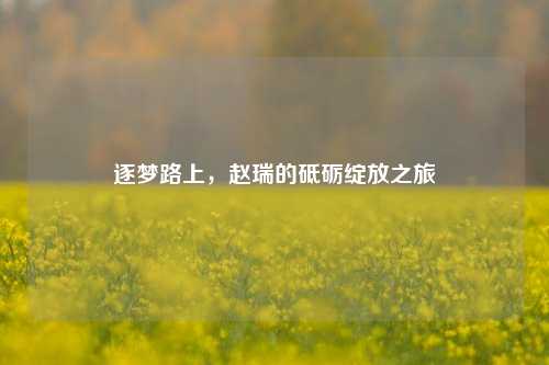 逐梦路上，赵瑞的砥砺绽放之旅