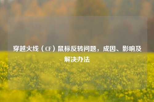 穿越火线（CF）鼠标反转问题，成因、影响及解决办法