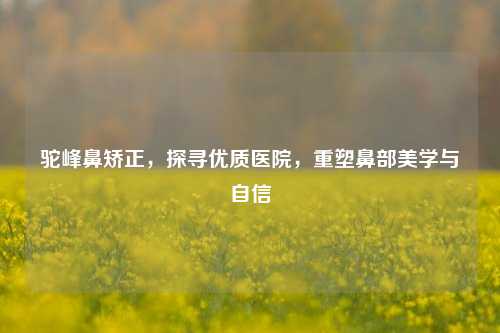 驼峰鼻矫正,探寻优质医院,重塑鼻部美学与自信