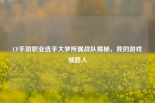 CF手游职业选手大梦所属战队揭秘，我的游戏领路人