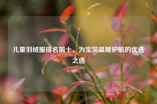 儿童羽绒服排名前十，为宝贝温暖护航的优选之选