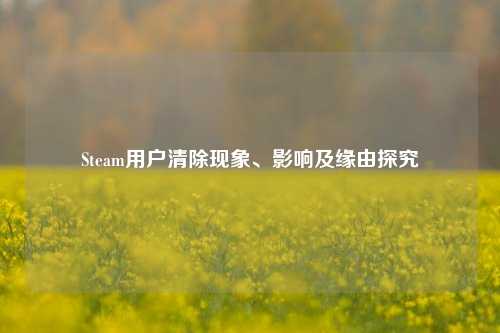 Steam用户清除现象、影响及缘由探究