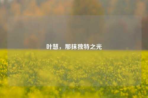 叶慧，那抹独特之光