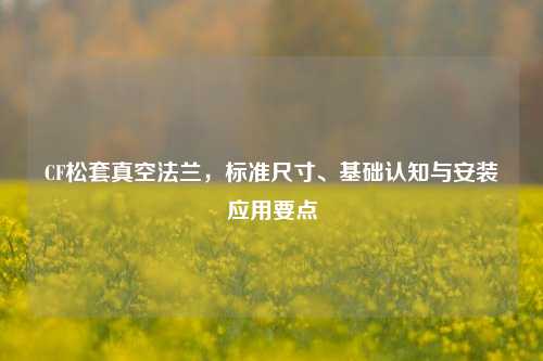 CF松套真空法兰，标准尺寸、基础认知与安装应用要点