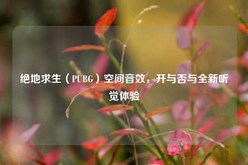 绝地求生（PUBG）空间音效，开与否与全新听觉体验