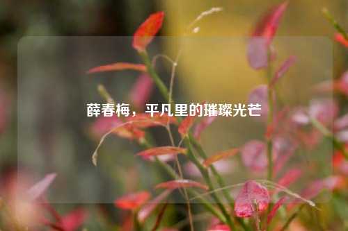 薛春梅，平凡里的璀璨光芒