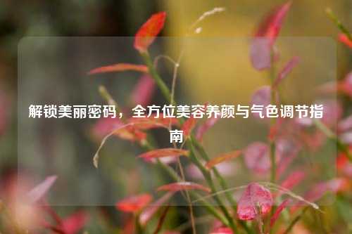 解锁美丽密码，全方位美容养颜与气色调节指南