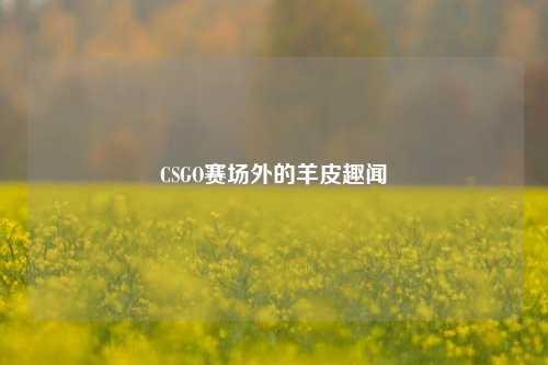CSGO赛场外的羊皮趣闻