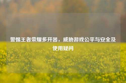 警惕王者荣耀多开器，威胁游戏公平与安全及使用疑问
