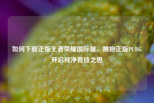 如何下载正版王者荣耀国际服，拥抱正版PUBG开启纯净竞技之思