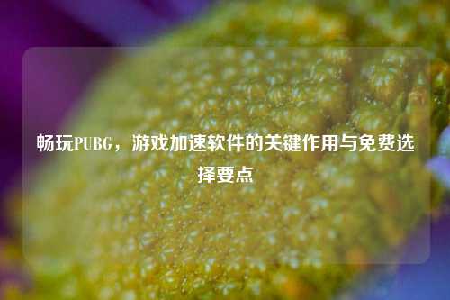 畅玩PUBG，游戏加速软件的关键作用与免费选择要点