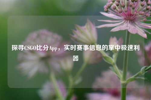 探寻CSGO比分App，实时赛事信息的掌中极速利器