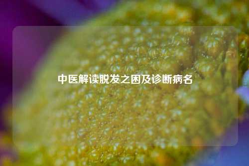 中医解读脱发之困及诊断病名