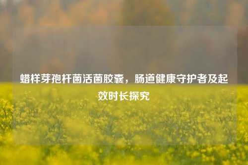 蜡样芽孢杆菌活菌胶囊，肠道健康守护者及起效时长探究