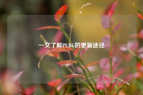 一文了解PUBG的更新途径