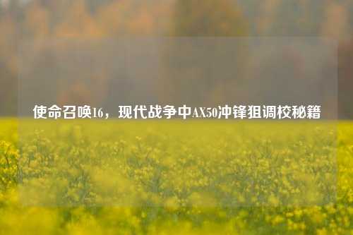 使命召唤16，现代战争中AX50冲锋狙调校秘籍