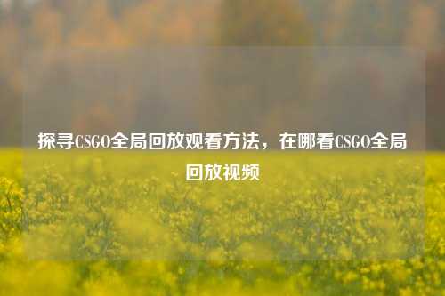 探寻CSGO全局回放观看方法，在哪看CSGO全局回放视频