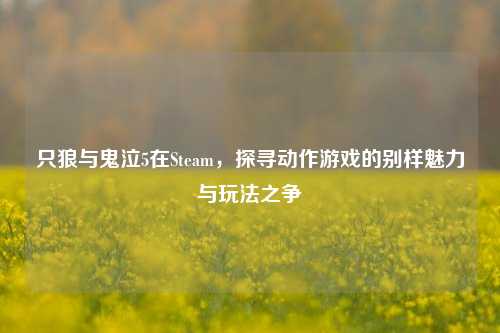 只狼与鬼泣5在Steam，探寻动作游戏的别样魅力与玩法之争
