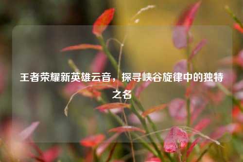 王者荣耀新英雄云音，探寻峡谷旋律中的独特之名